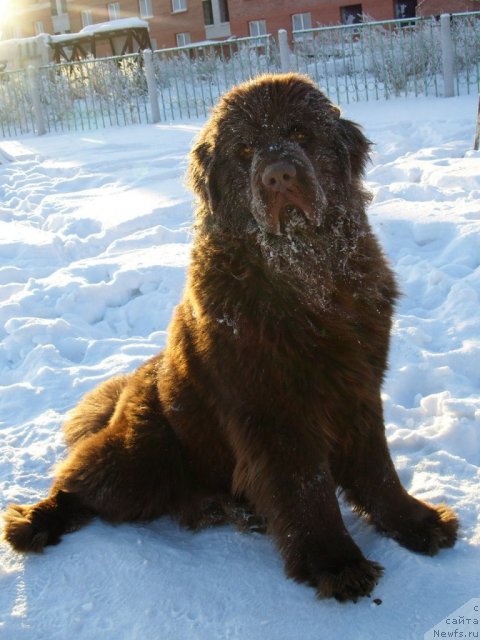 Фотография № 57306