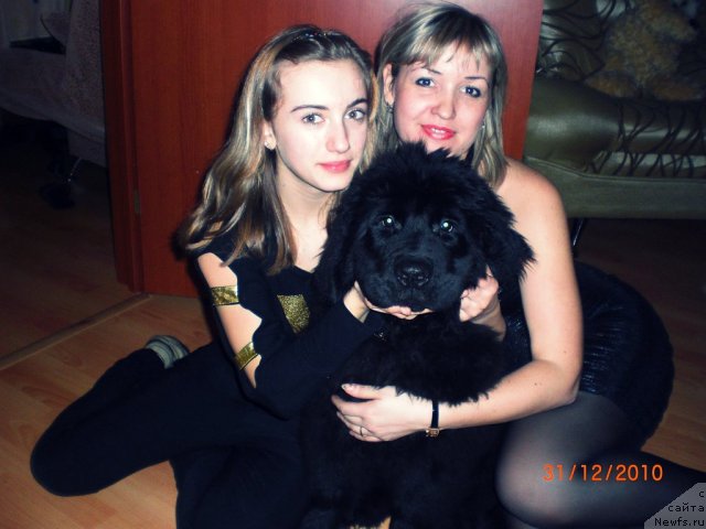 Фотография № 57433