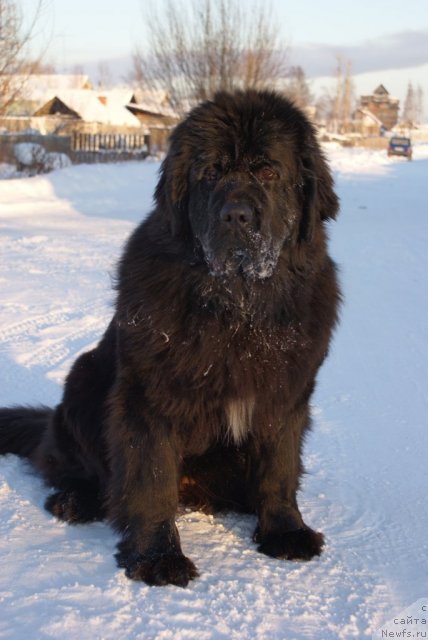 Фотография № 57437