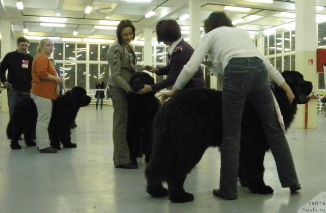 Фотография № 57451