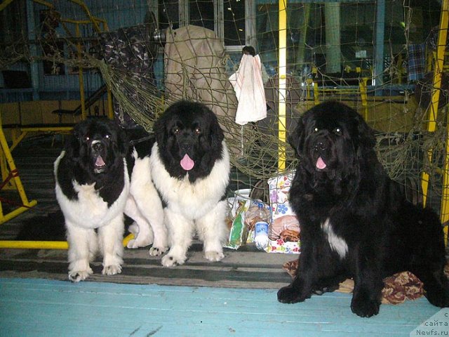 Фотография № 57459