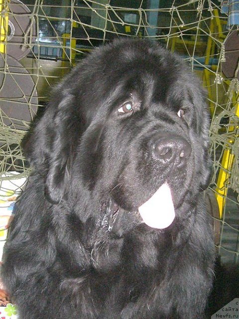 Фотография № 57460