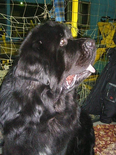 Фотография № 57461