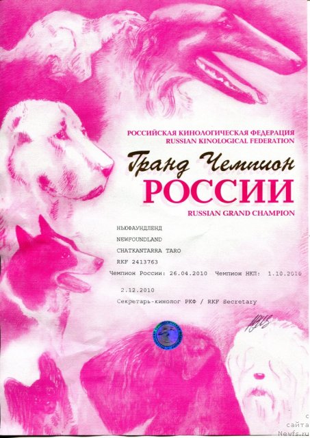 Фото: Сертификат  [d7620]