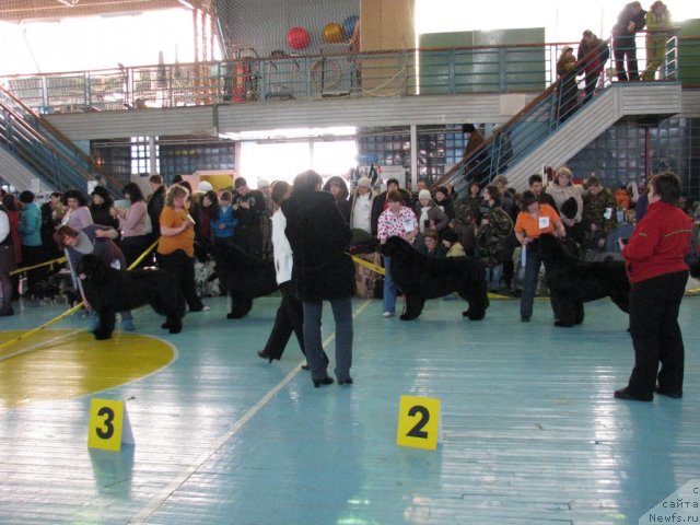 Фотография № 57521