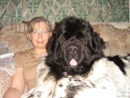 Фотография № 57524