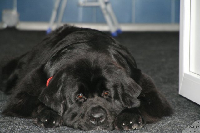 Фотография № 57529