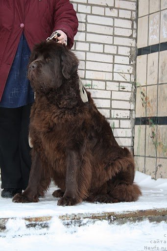 Фотография № 57537