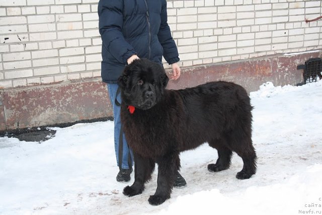 Фотография № 57540