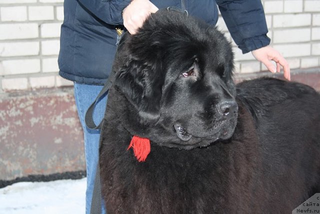 Фотография № 57542