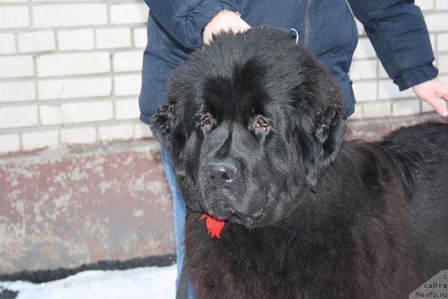 Фотография № 57543