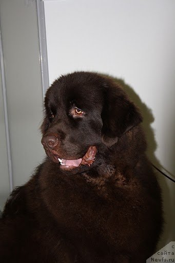 Фотография № 57545