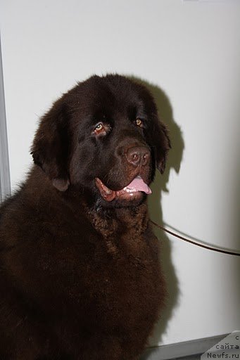 Фотография № 57546