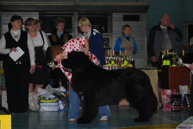 Фотография № 57550