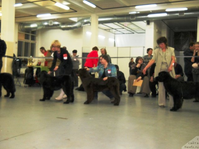 Фотография № 57560