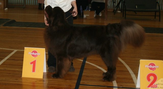 Фотография № 57561