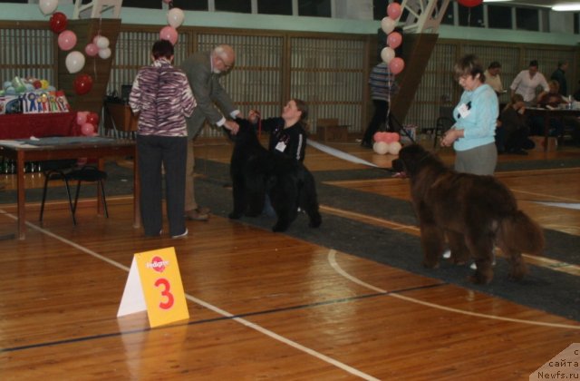 Фотография № 57564