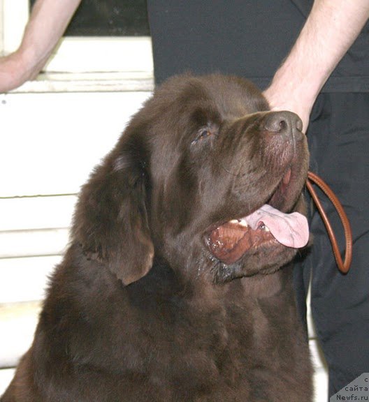 Фотография № 57565