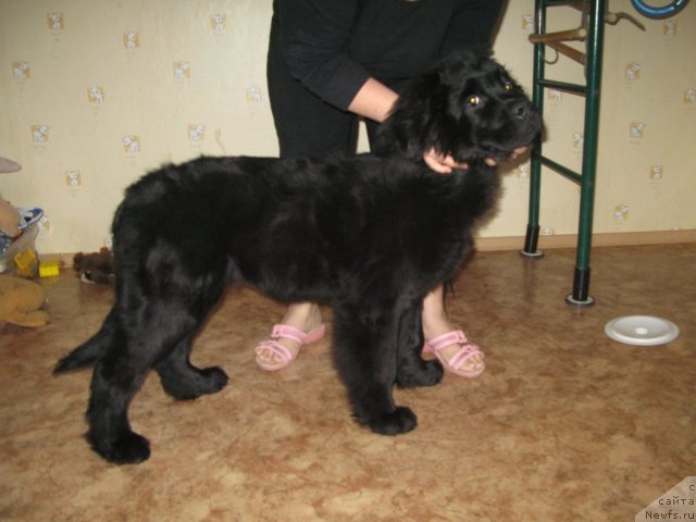 Фото: ID: [d10194]