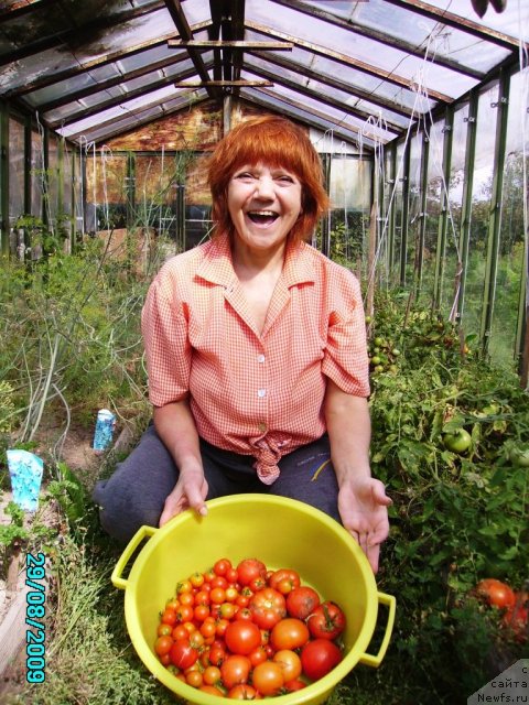 Фотография № 57755