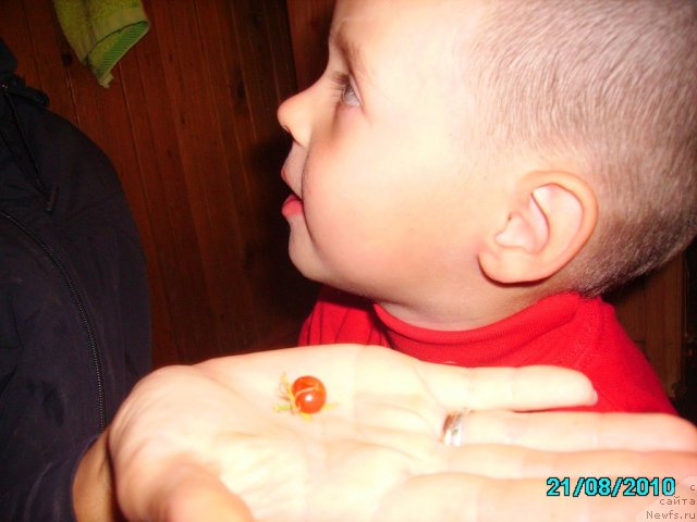 Фотография № 57757