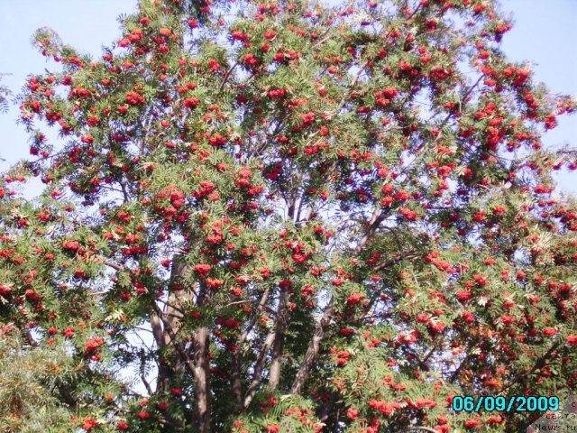 Фотография № 57761