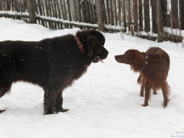 Фотография № 57764