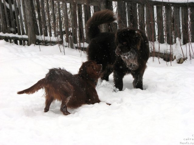 Фотография № 57765