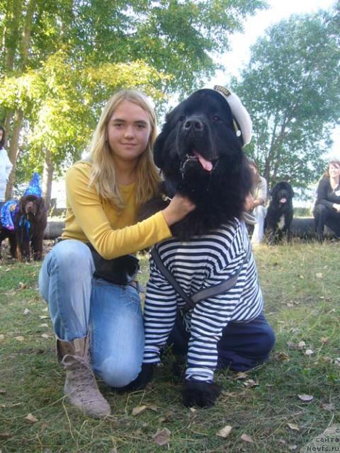 Фото: ньюфаундленд O Black Diamond Little Bear (О Блек Диамонд Литтл Беар)