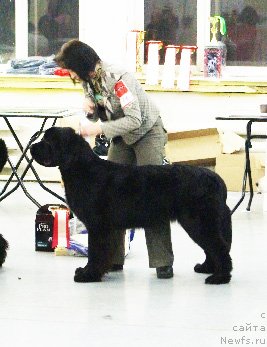 Фотография № 57815