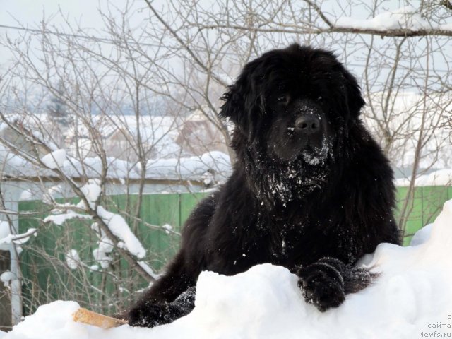 Фотография № 57817