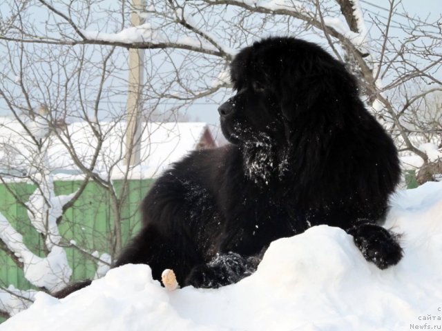 Фотография № 57818