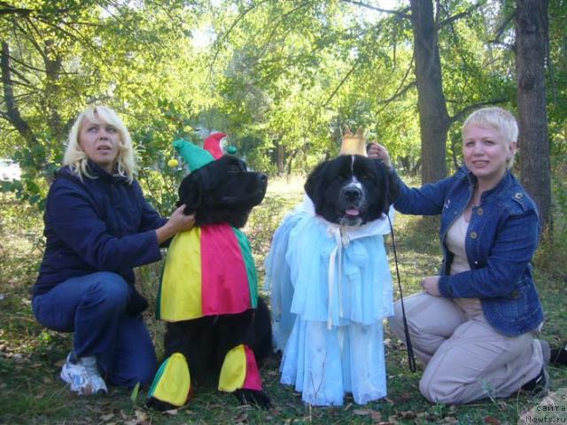 Фотография № 5782