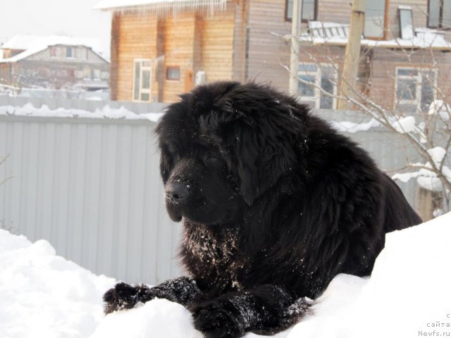 Фотография № 57821