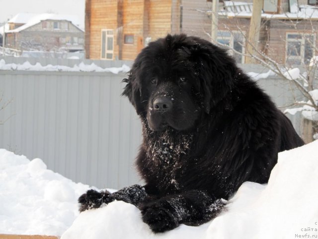 Фотография № 57822