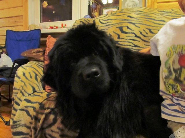 Фотография № 57826