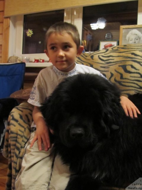 Фотография № 57827