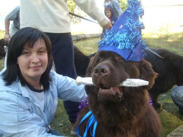 Фото: ньюфаундленд Obush Shed Yudashkin Stil (Обуш Шед Юдашкин Стиль), Irina Nazarova (Ирина Назарова)
