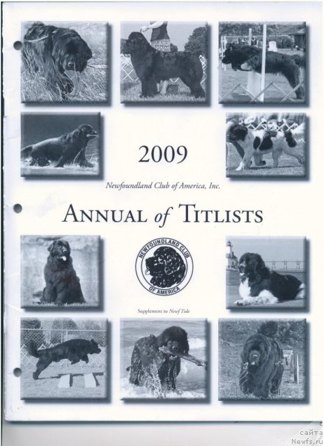 Фотография № 57895