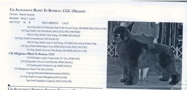 Фотография № 57896