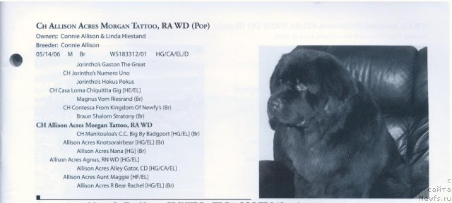 Фотография № 57899