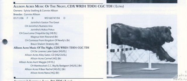 Фотография № 57900