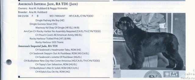 Фотография № 57901