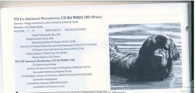 Фотография № 57902