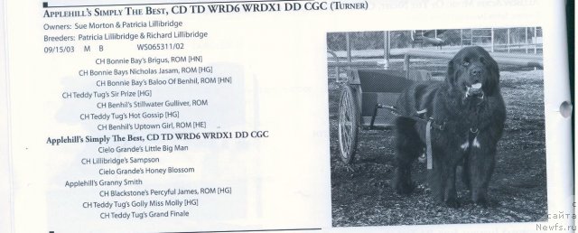 Фотография № 57903