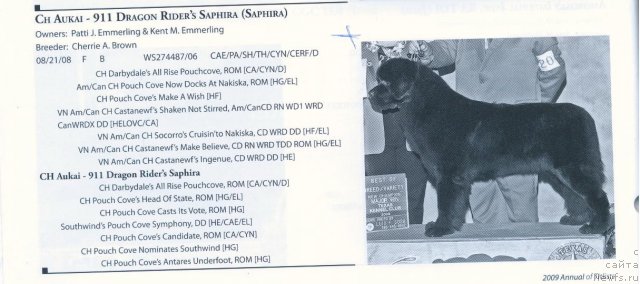 Фотография № 57916