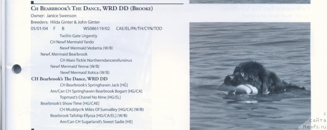 Фотография № 57919