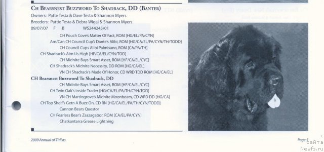 Фотография № 57921