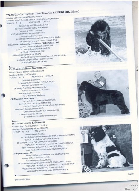 Фотография № 57923