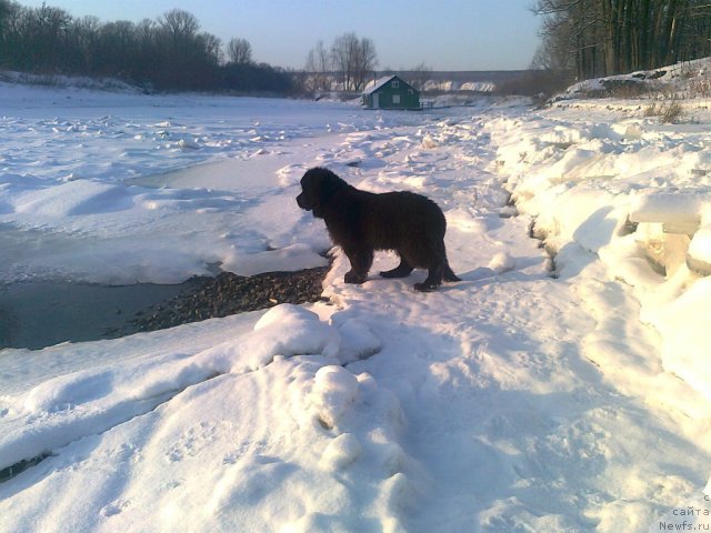 Фотография № 57925